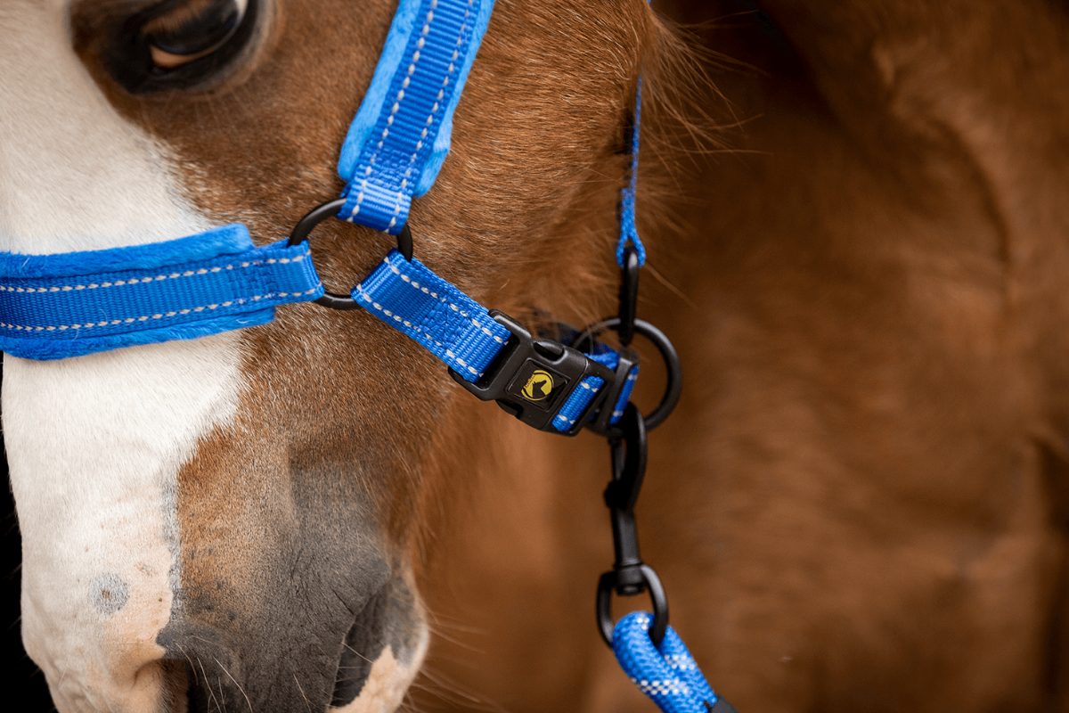 Excellent Superior Halster Blauw XS - Afbeelding 4