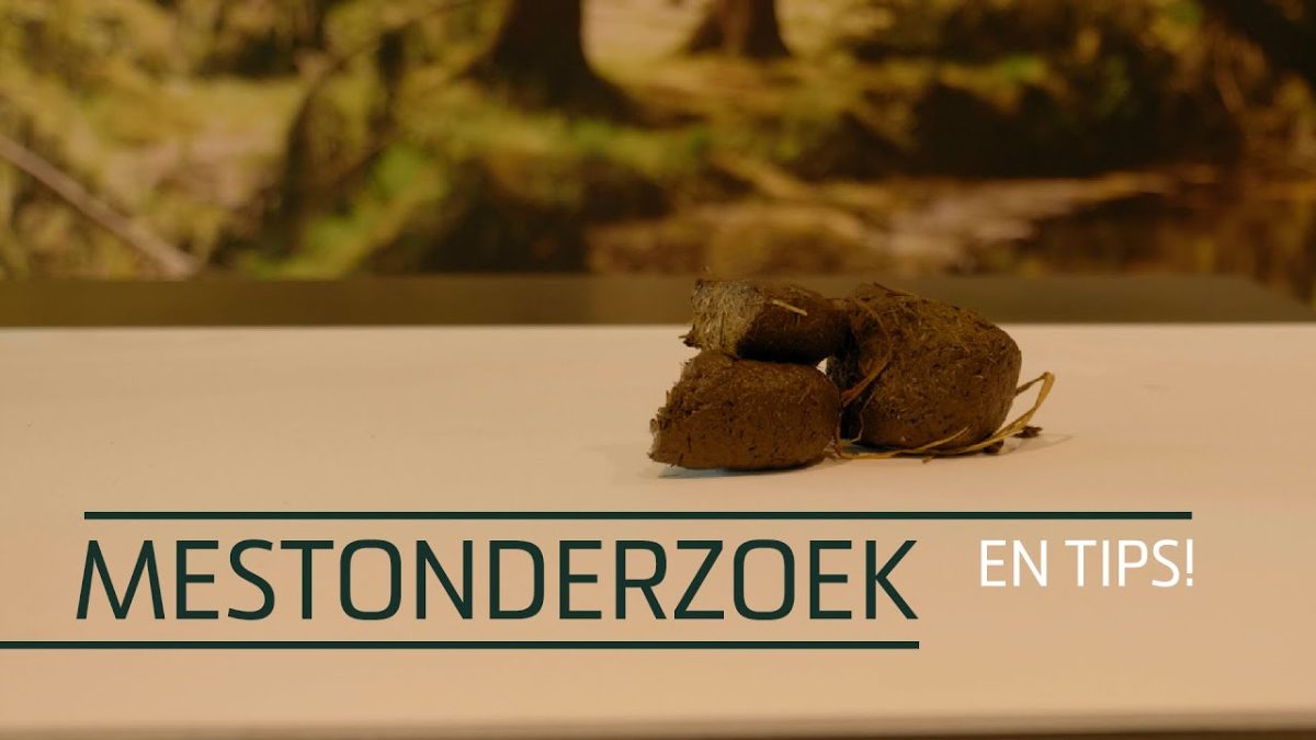 Excellent Horse Herbs Vlozaad 1,2 kg - Afbeelding 2