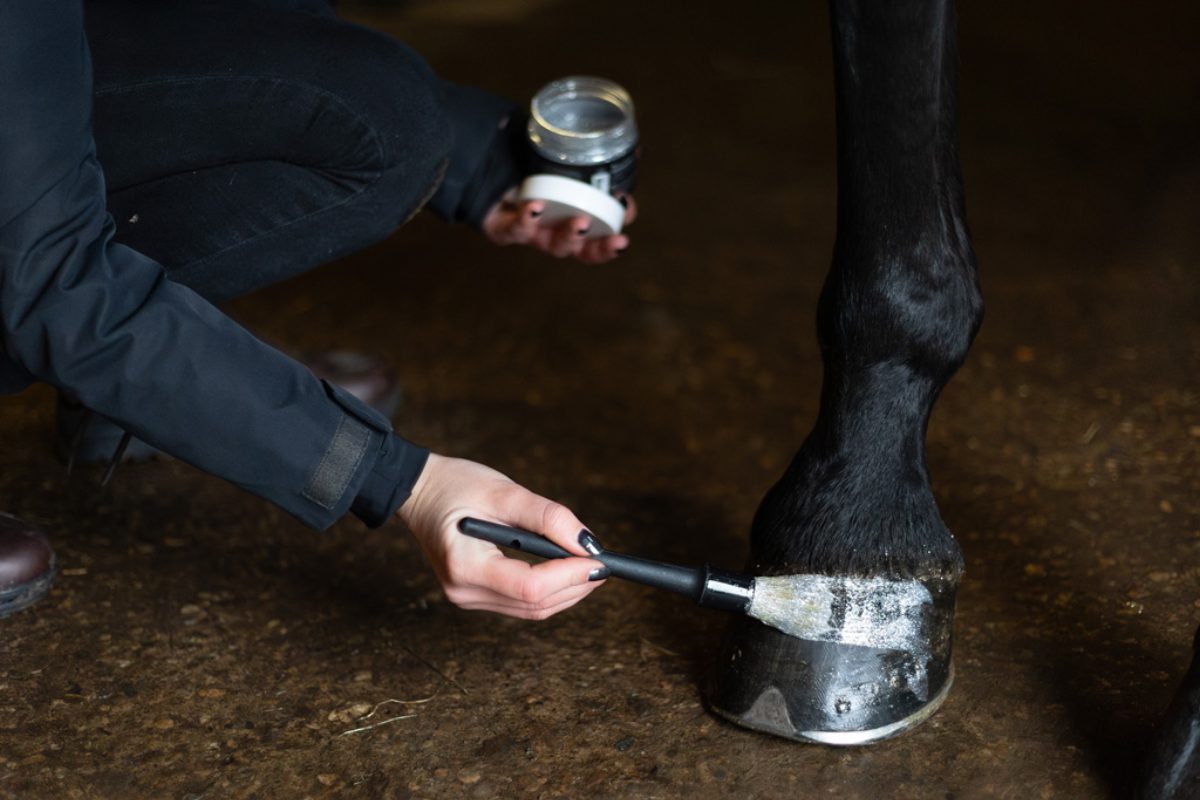 Excellent Horse Hi Gloss Glitter Hoof Polish Silver 150 ml - Afbeelding 3