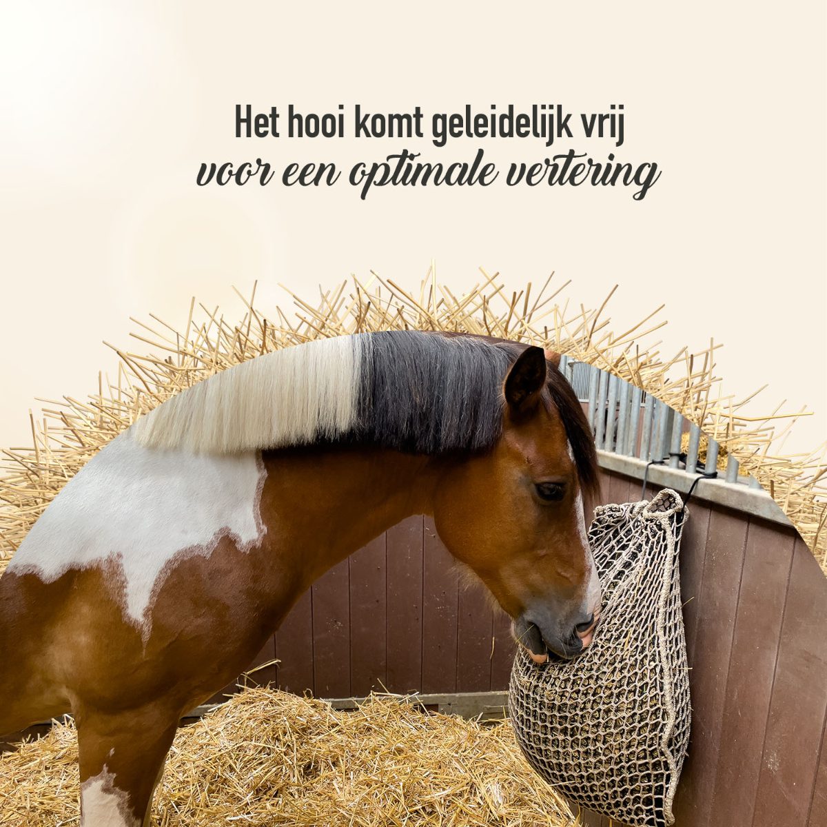 Hay Slow Feeder Net Ronde Baal - Afbeelding 6