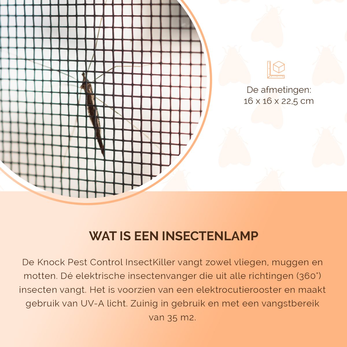 Knock Pest Insectenlamp 5 Watt - Afbeelding 5