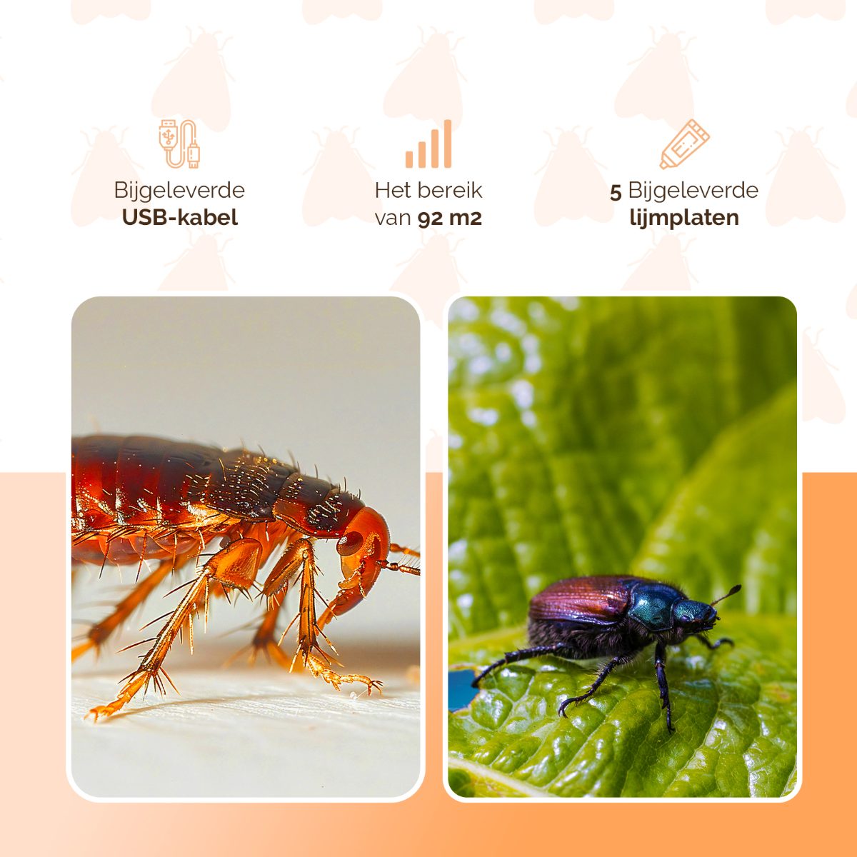 Knock Pest Insectenval - Afbeelding 6