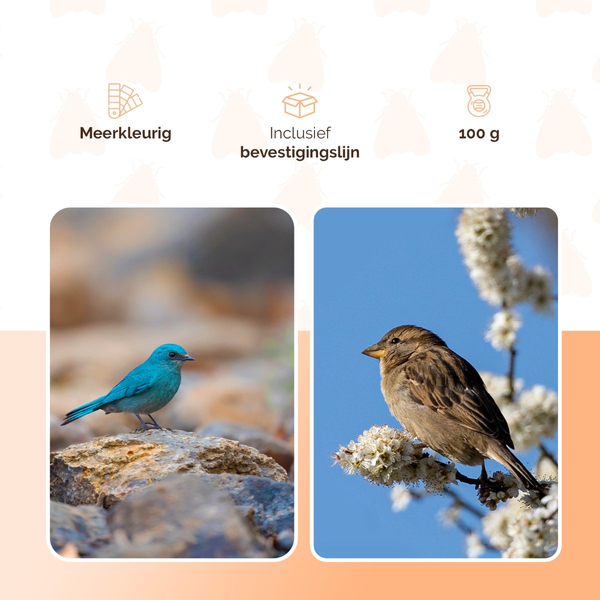 Knock Pest Vogel Verschrikker vlieger los - Afbeelding 3