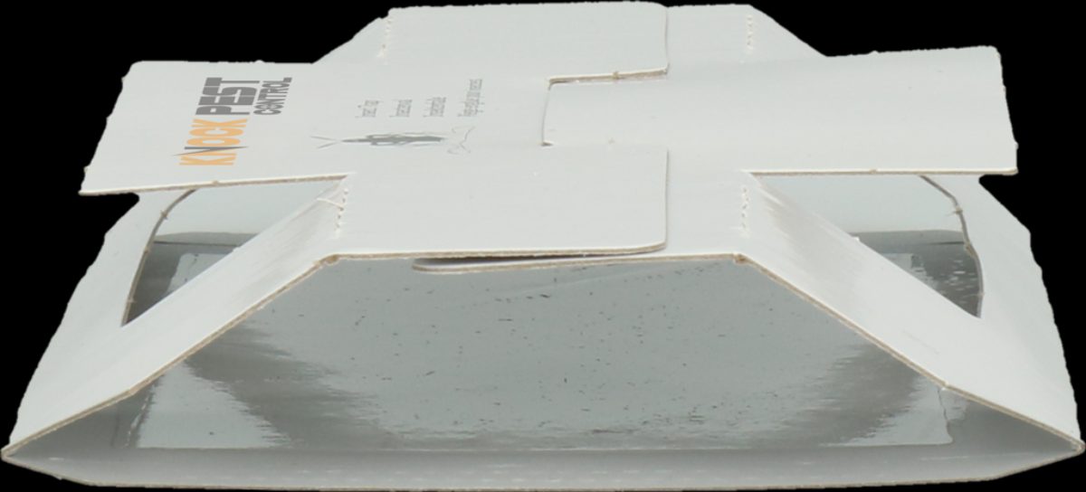 Knock Pest Insectenval Groot - Afbeelding 4