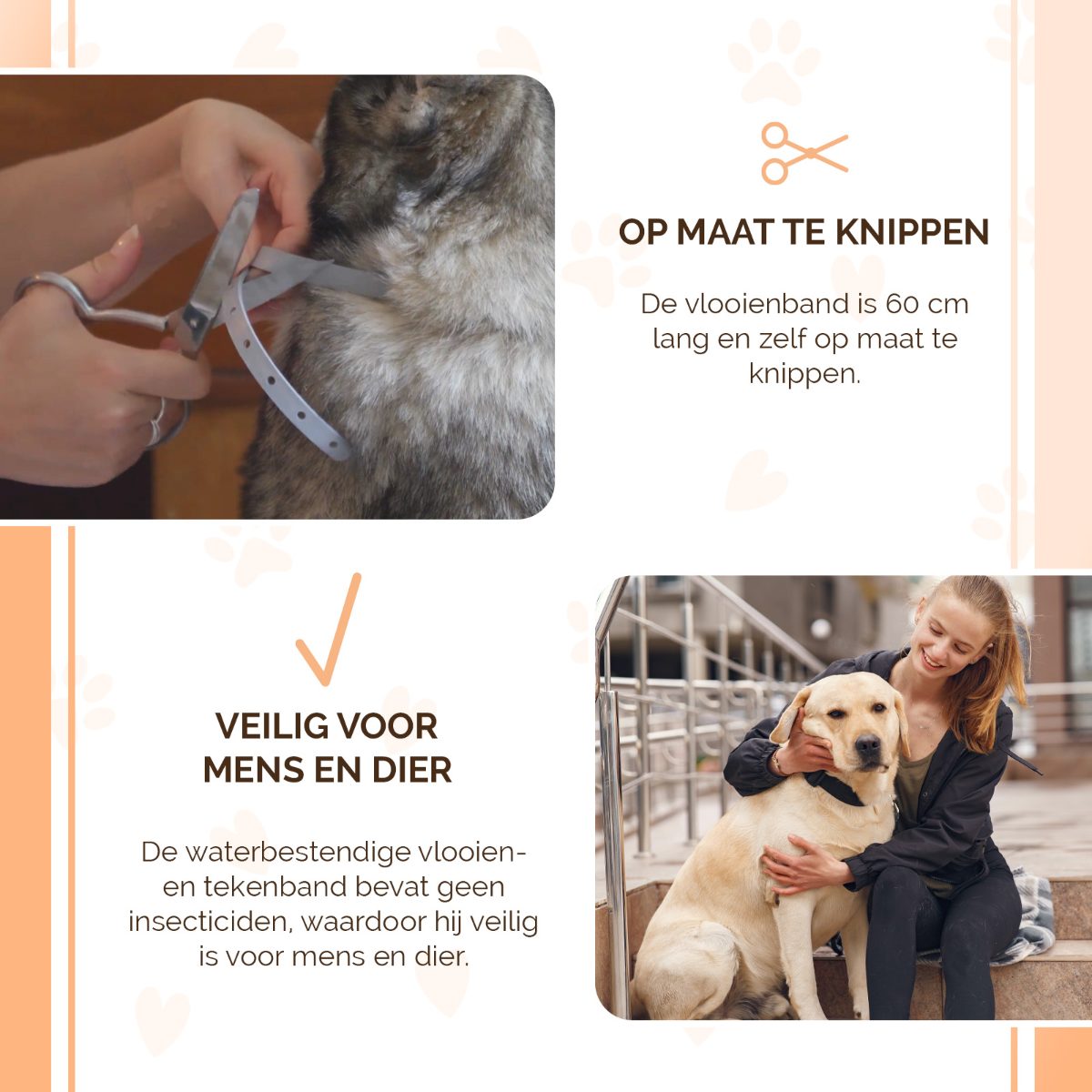 Knock Pest Vlooien/Tekenband Hond 59 cm NL/FR - Afbeelding 4