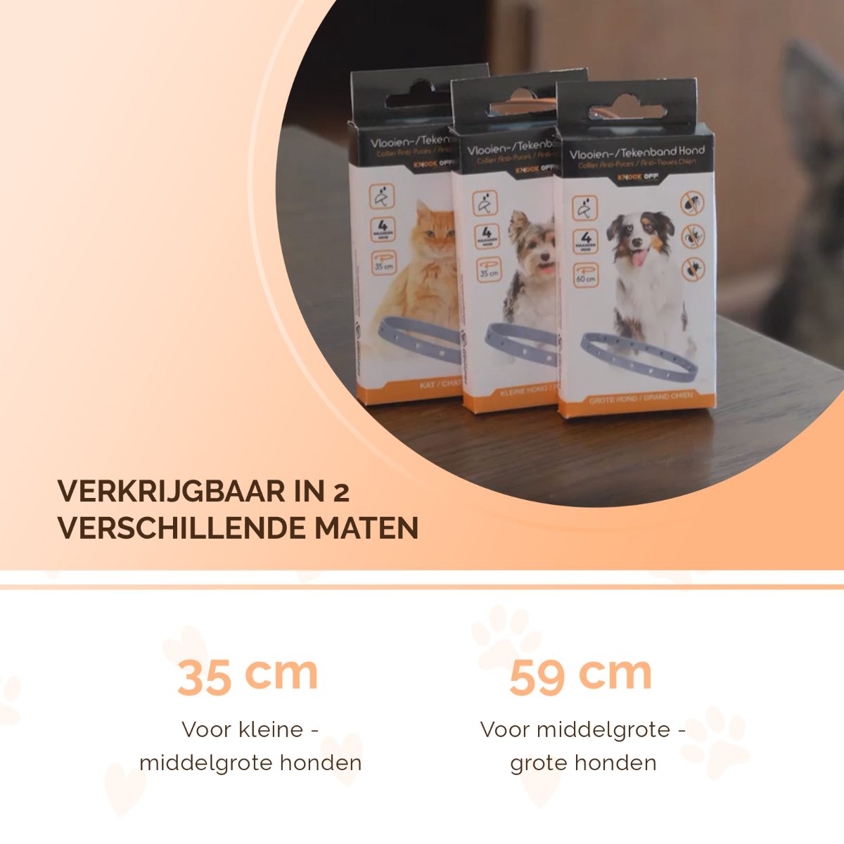 Knock Pest Vlooien/Tekenband Hond 59 cm NL/FR - Afbeelding 5