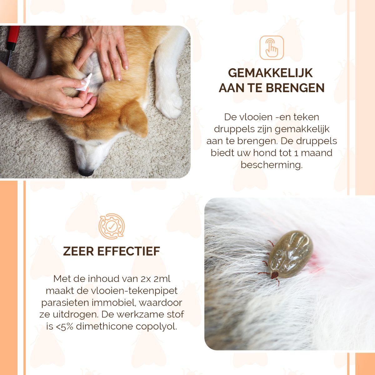 Knock Pest vlooien-tekenpipet Hond <5 kg - Afbeelding 4
