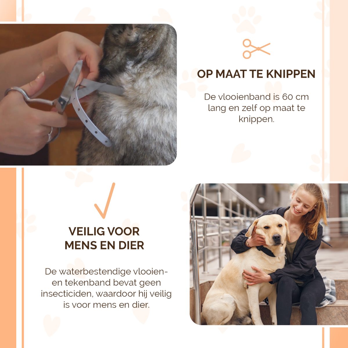 Knock Pest Vlooien/Tekenband Hond 59 cm DE/UK - Afbeelding 4