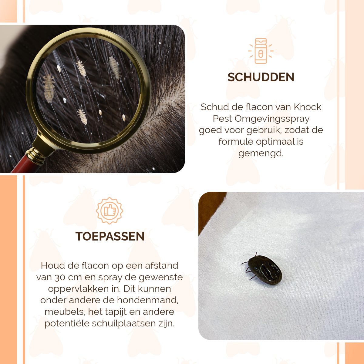 Knock Pest Omgevingsspray 100 ml - Afbeelding 4