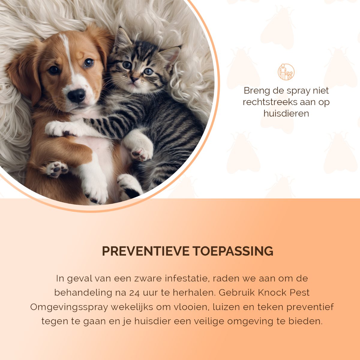 Knock Pest Omgevingsspray 100 ml - Afbeelding 5