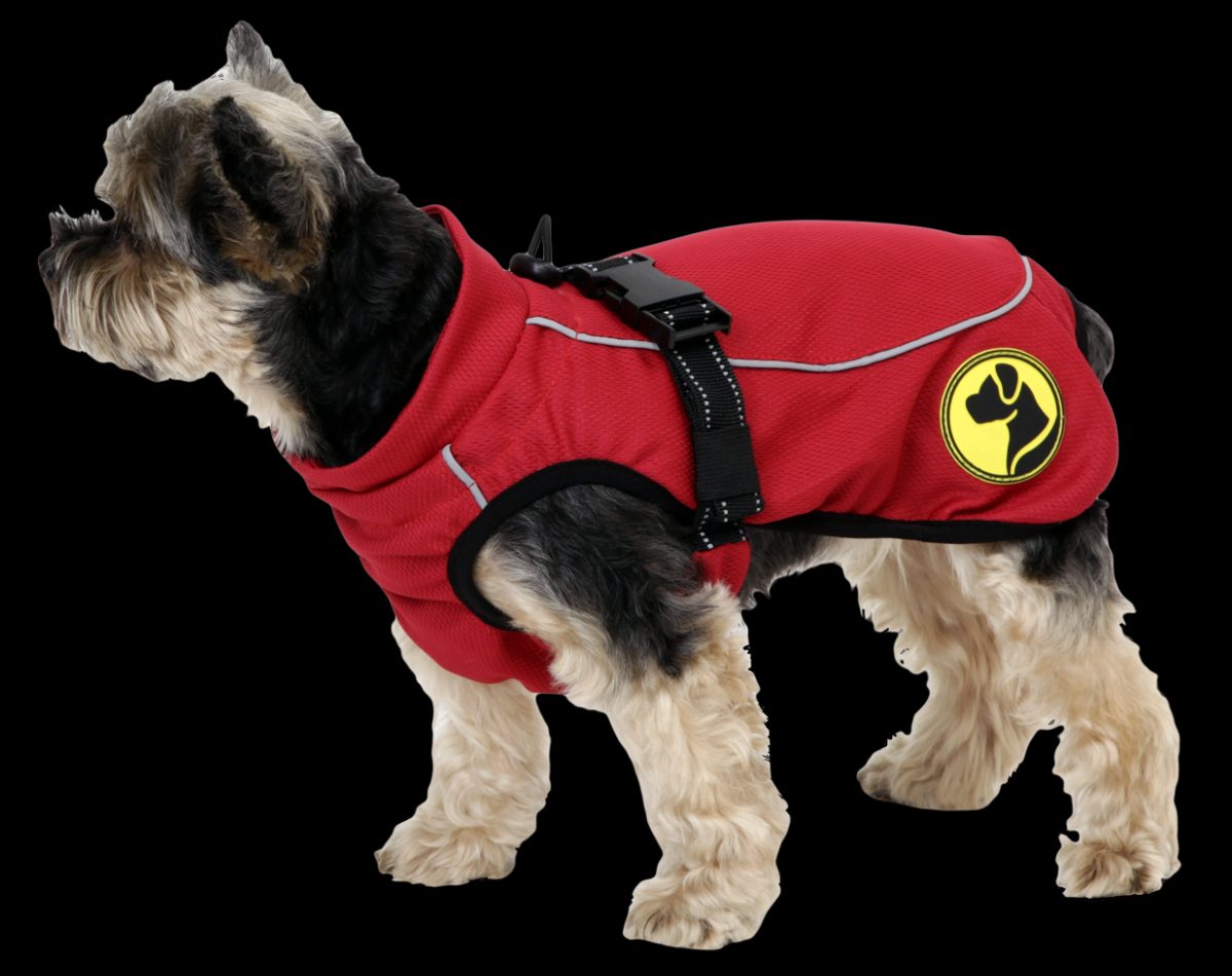 Dog Armor Knockdown Coat (Insect Shield) XXS (30cm ruglengte)