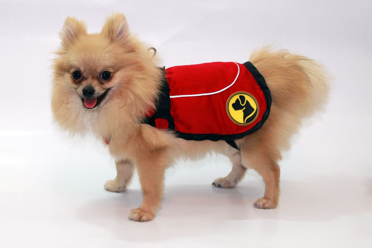 Dog Armor Knockdown Coat (Insect Shield) XXS (30cm ruglengte) - Afbeelding 2