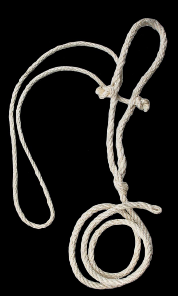 Koetouwhalster + dun koptouw