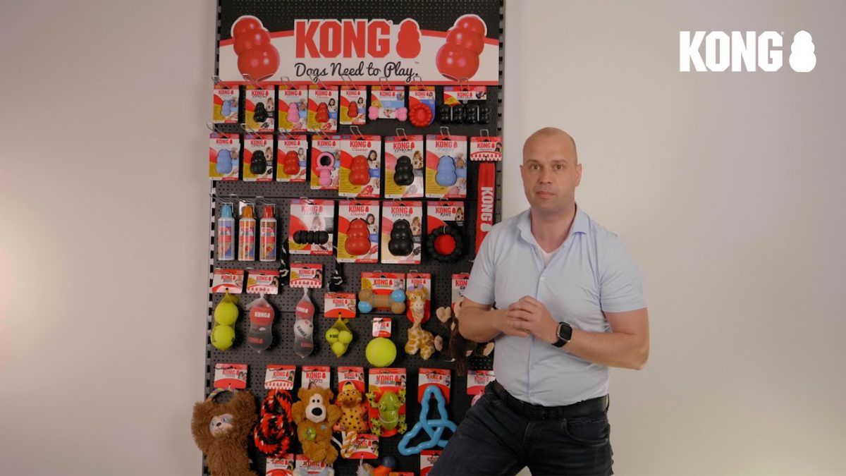 Package Deal KONG Hond - Afbeelding 2