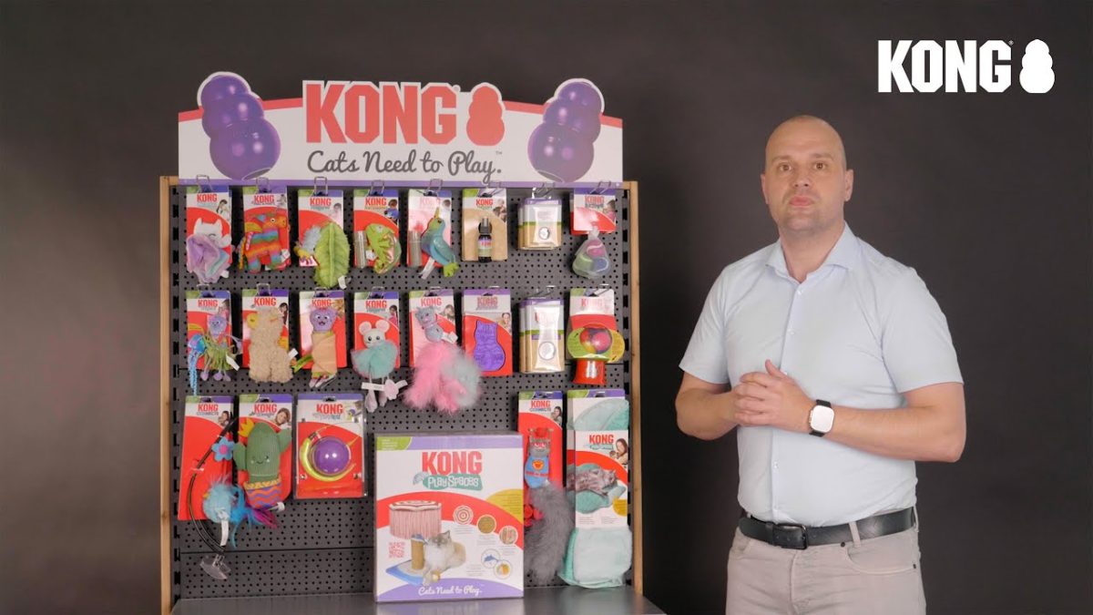 Package Deal KONG Kat - Afbeelding 2