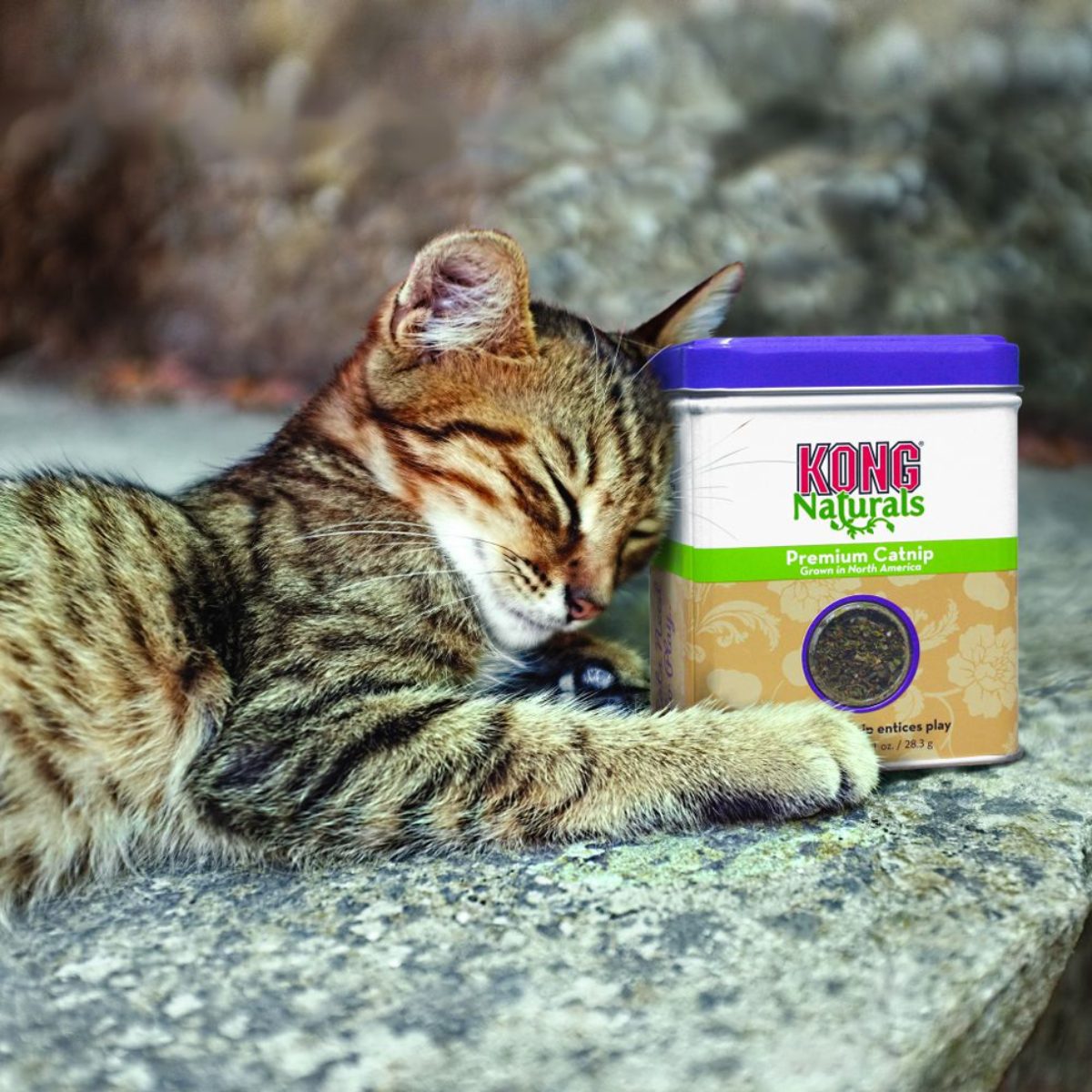 KONG Naturals Catnip 2 oz (56,7 g) - Afbeelding 2