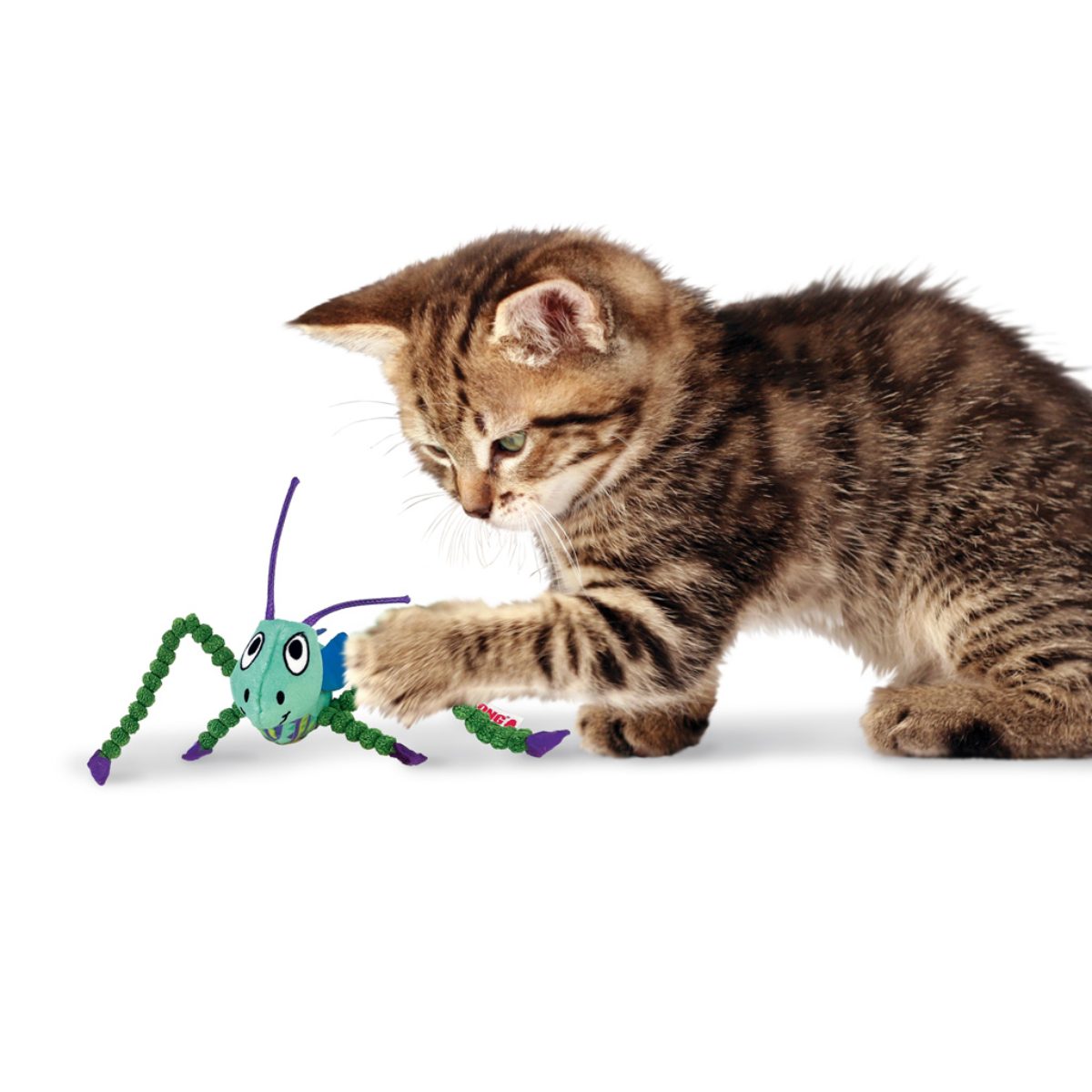 KONG Crackles Grasshopper - Afbeelding 3