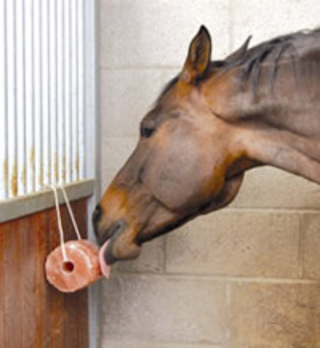 Excellent Horse Salt Lick Himalaya 2-3 kg (Met touw) - Afbeelding 2