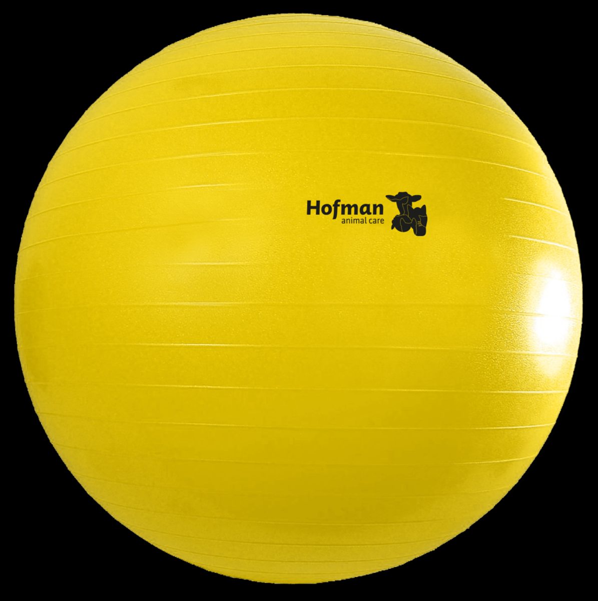 Maximus Power Play Ball 75 cm - Afbeelding 2
