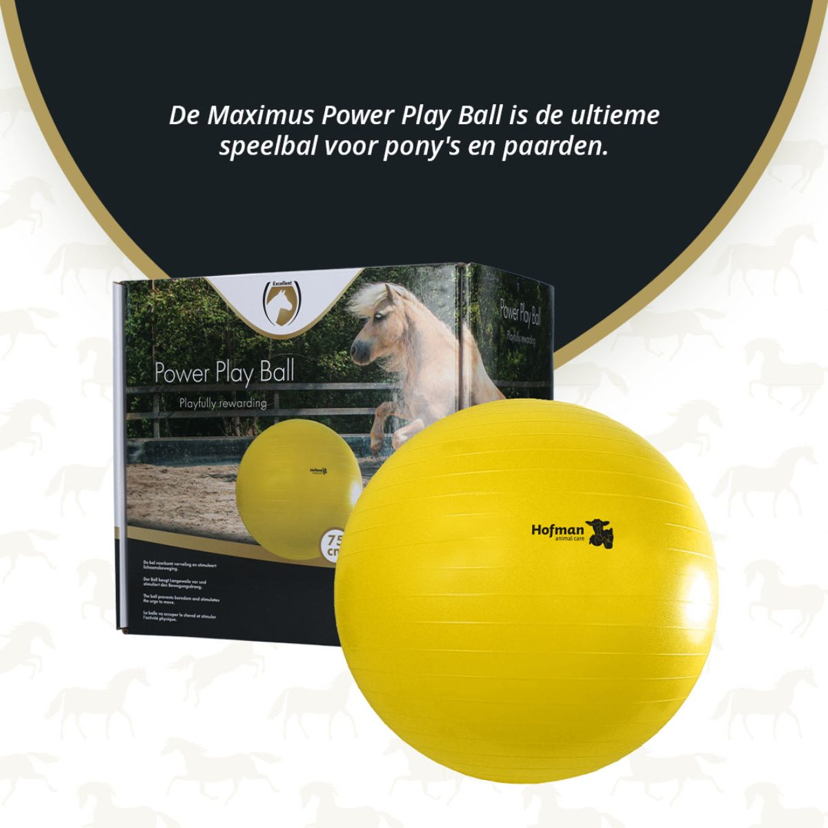 Maximus Power Play Ball 75 cm - Afbeelding 3