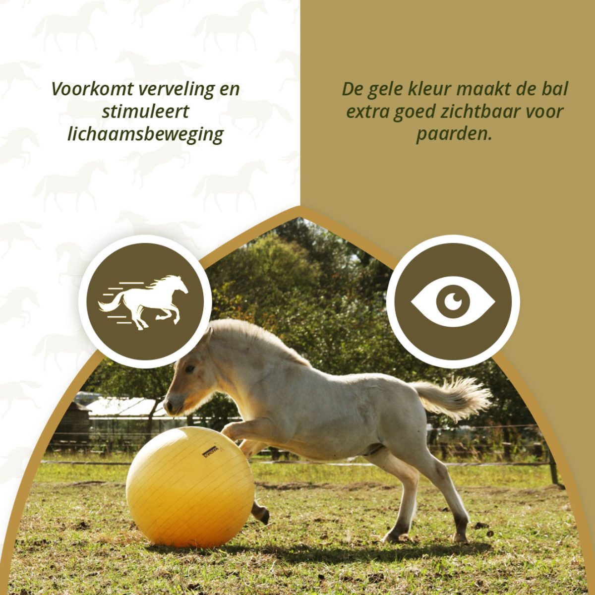 Maximus Power Play Ball 75 cm - Afbeelding 5