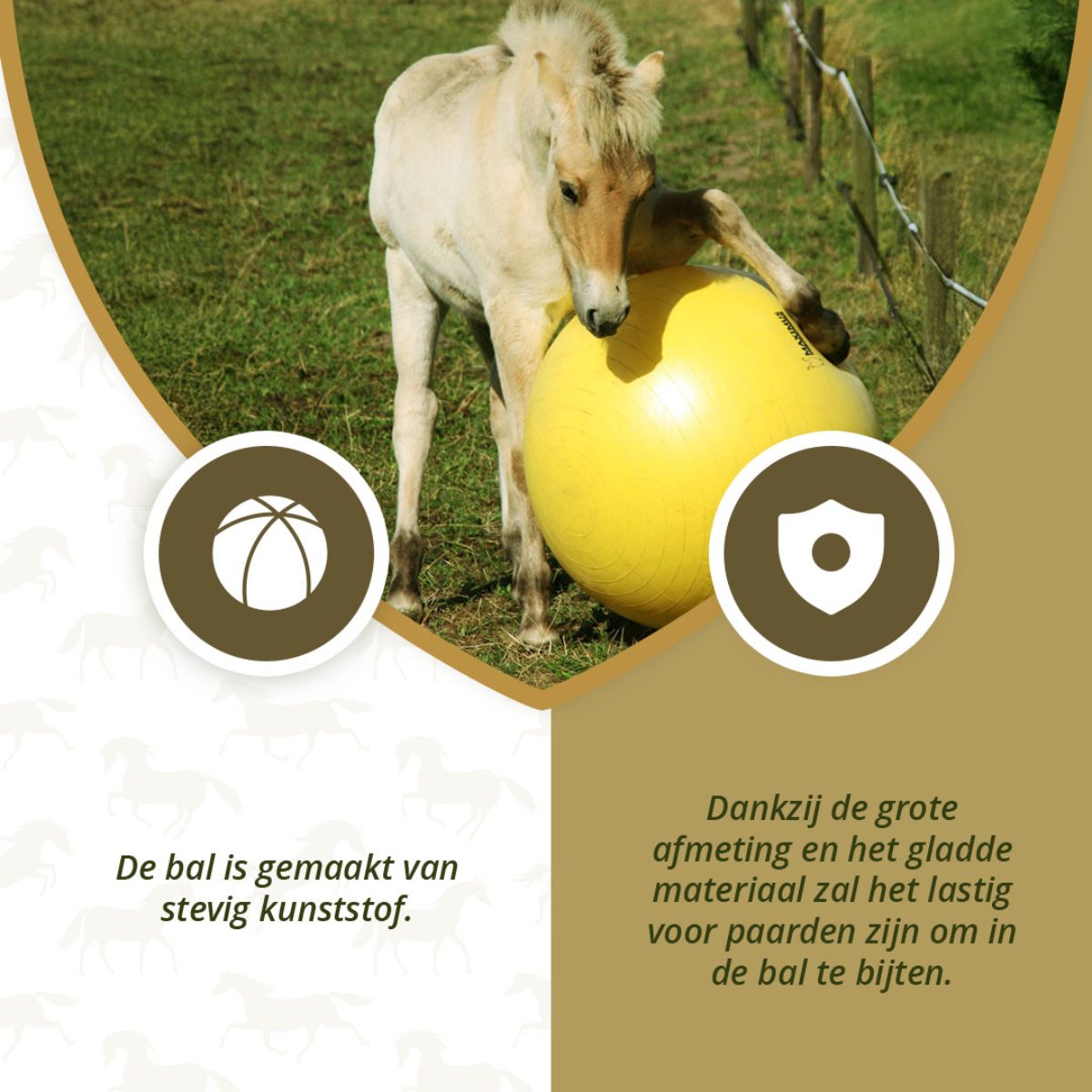 Maximus Power Play Ball 75 cm - Afbeelding 6