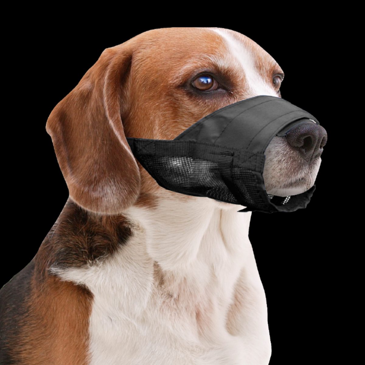 Pawise Adjustable Nylon Muzzle M - Afbeelding 2