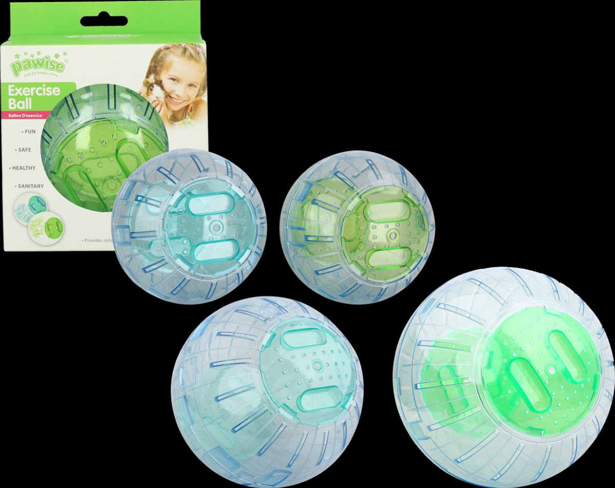Pawise Exercise Ball S - 13 cm - Afbeelding 5