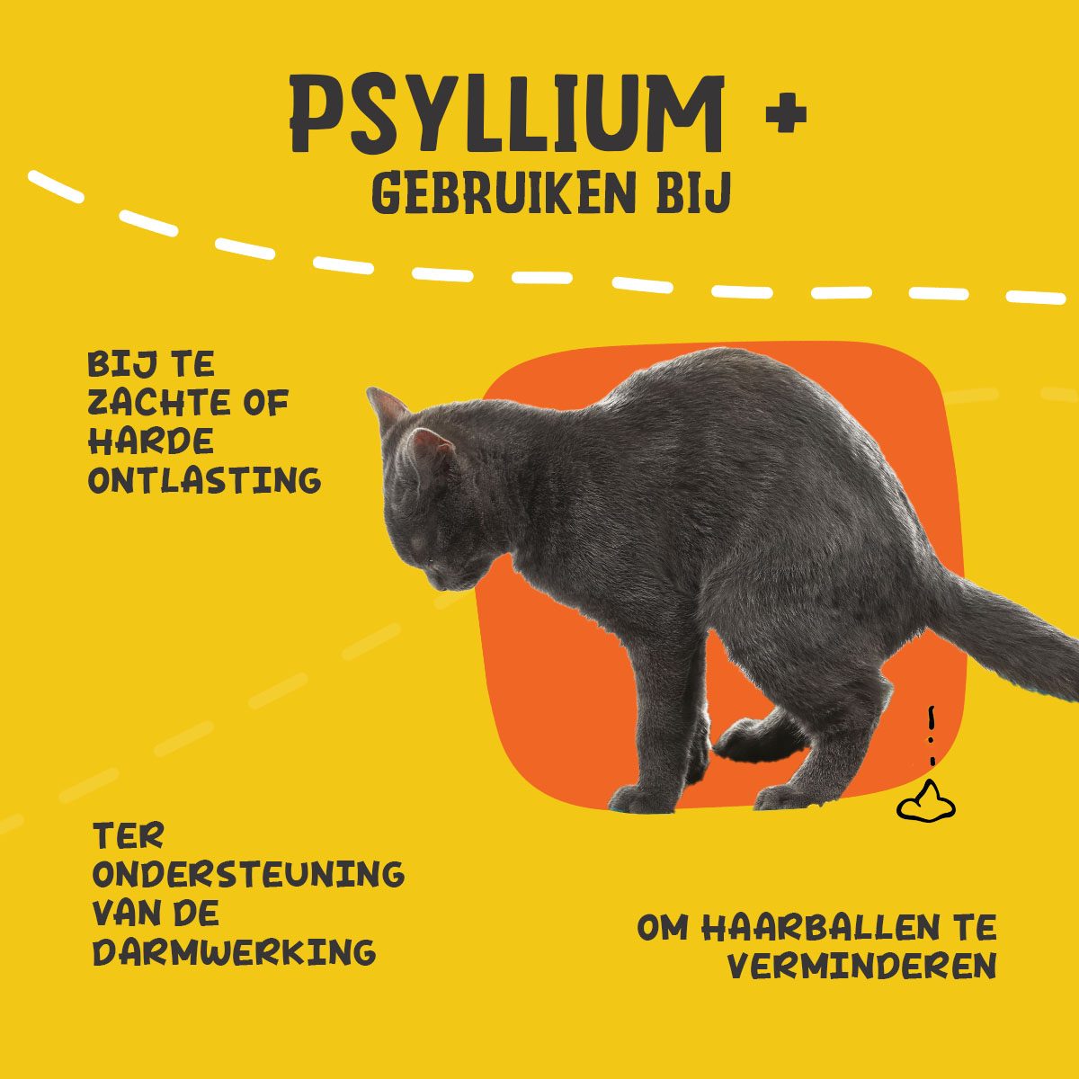 Excellent Pets Cat Psyllium+ 100 g - Afbeelding 6