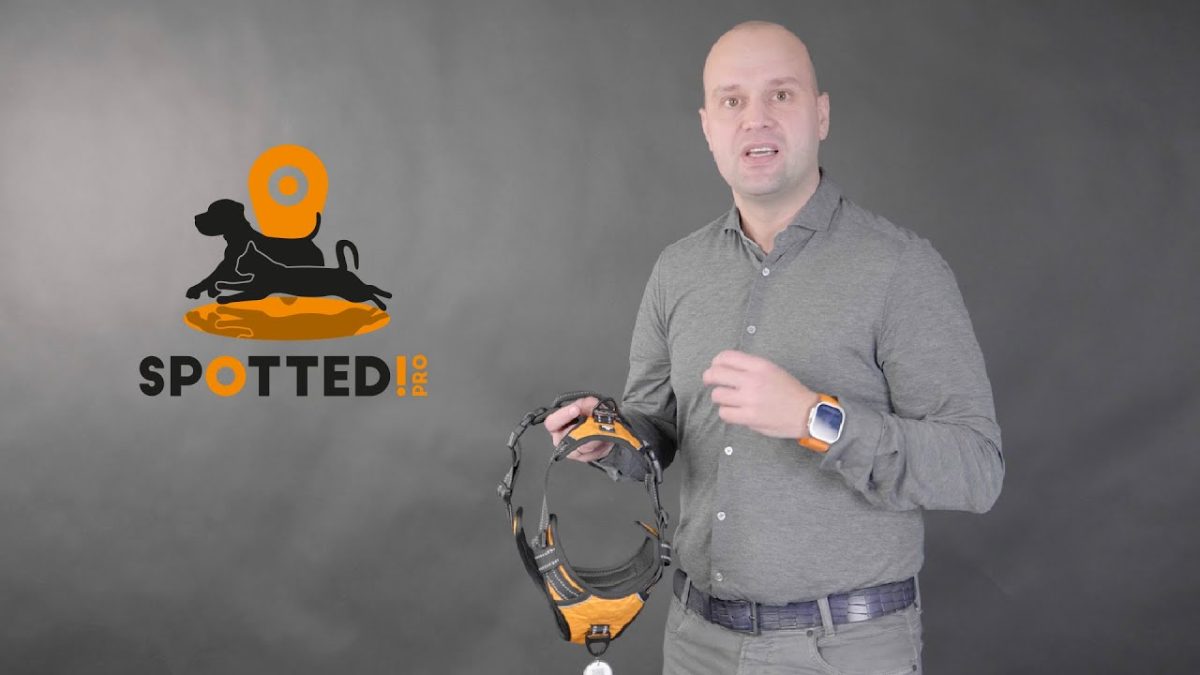 Spotted! Pro No Pull Harnas Oranje XL - Afbeelding 3