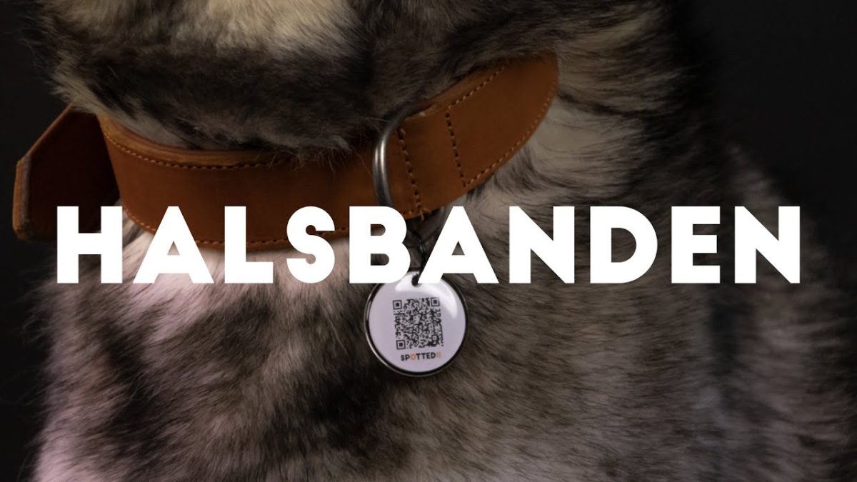 Spotted! Pro Leren Halsband 60 cm - Cognac - Afbeelding 2