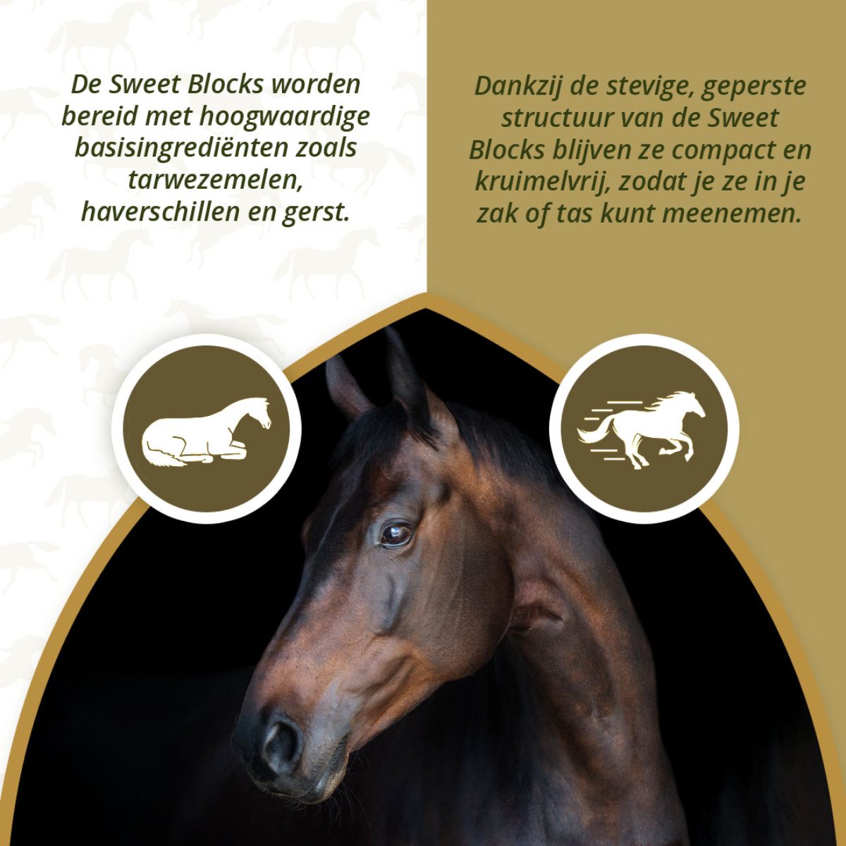 Excellent Horse Sweet Blocks Eucalyptus 1 kg - Afbeelding 3