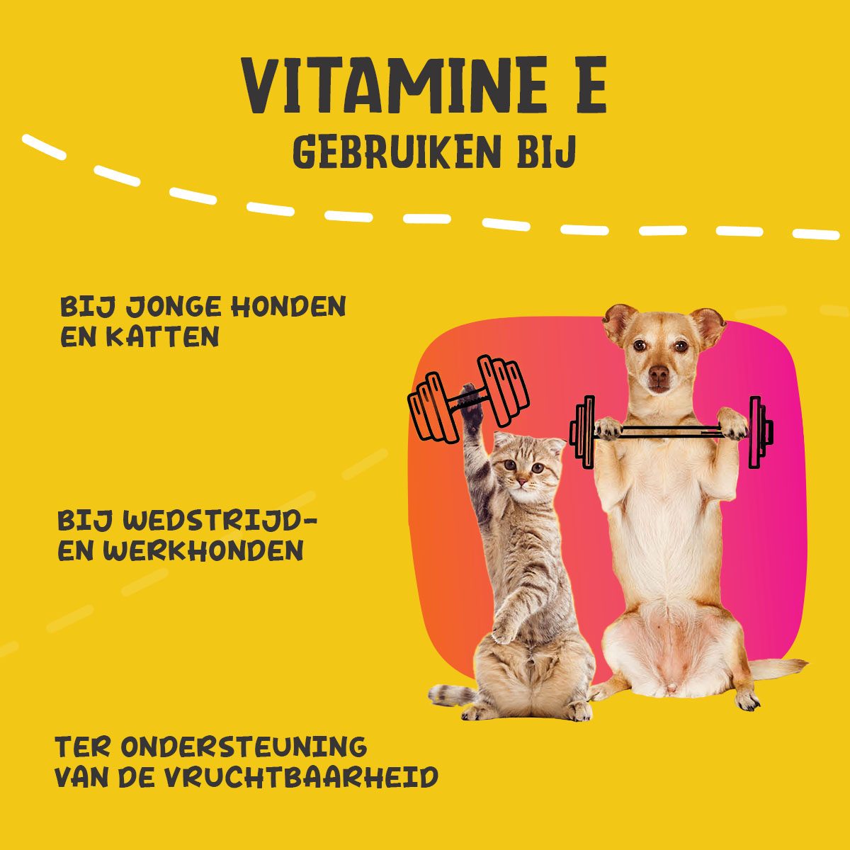 Excellent Pets Vitamin E+ 250 g - Afbeelding 6