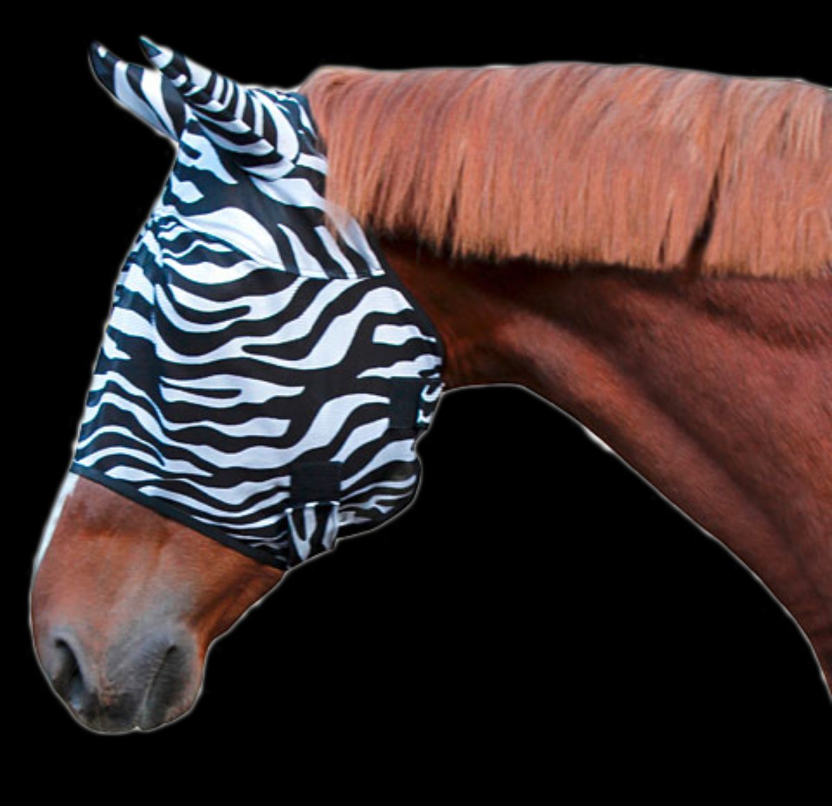 Vliegenmasker Zebra Cob
