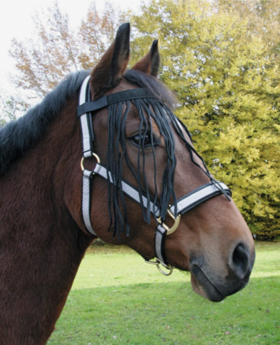 Vliegenfrontriem Paard maat: Full Pony - Afbeelding 2