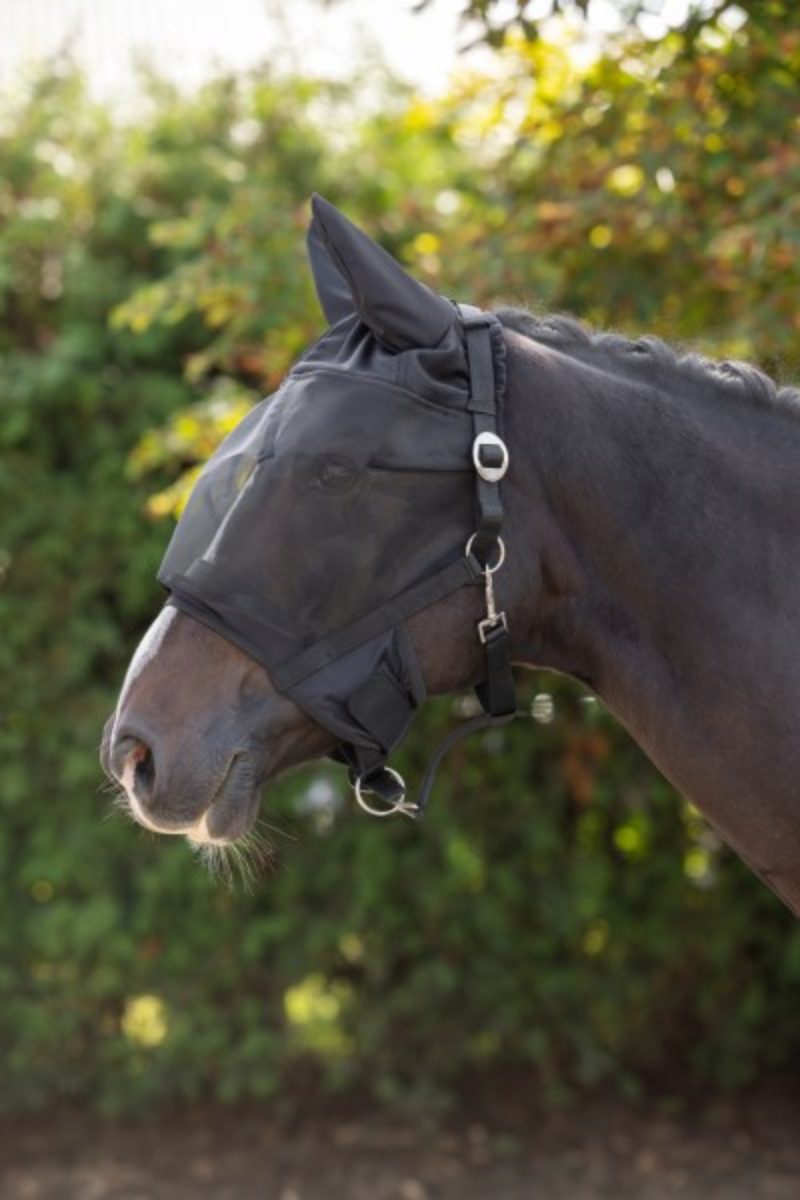 Halster met geïntegreerd vliegenmasker Pony - Afbeelding 3