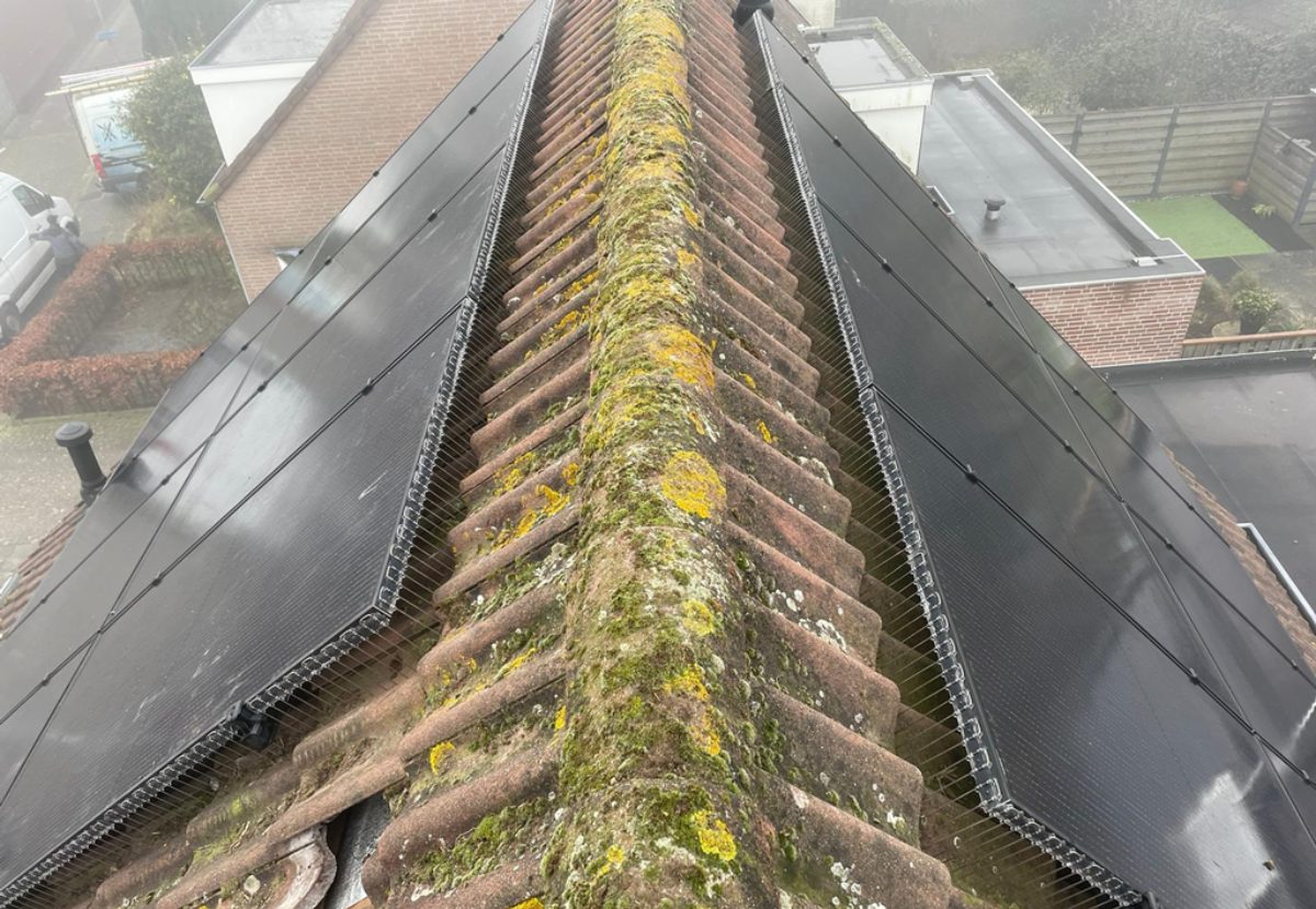 Vogelpinnen Zonnepanelen 50 cm Zwart - Afbeelding 2
