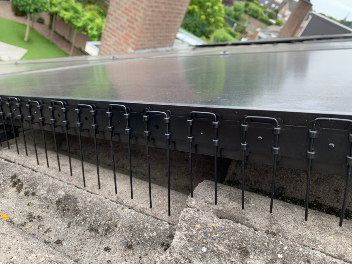 Vogelpinnen Zonnepanelen 50 cm Zwart - Afbeelding 4