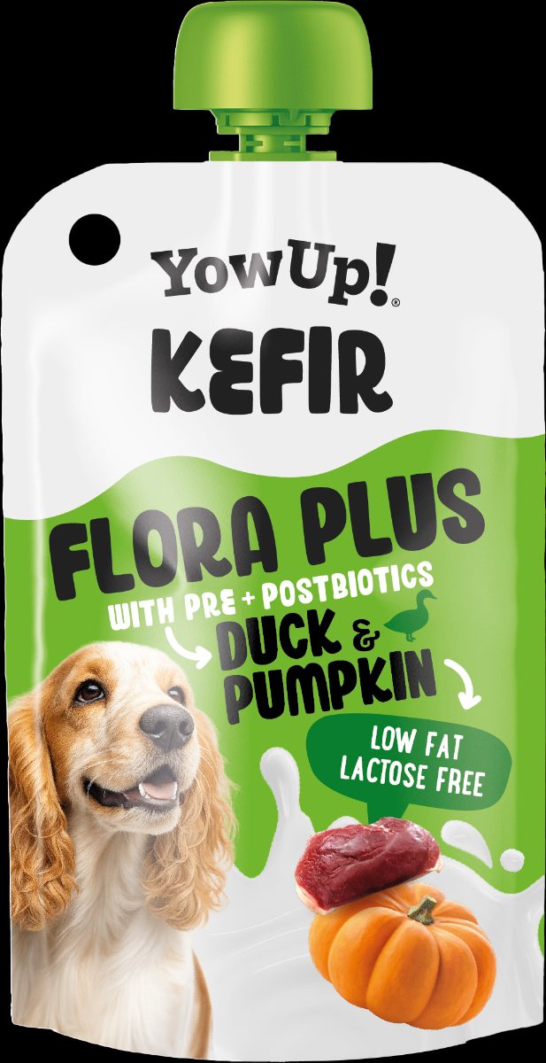 Yowup! Kefir Eend & Pompoen (hond)