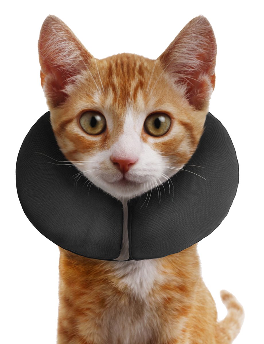 Zenpet ProCollar XS - Afbeelding 3